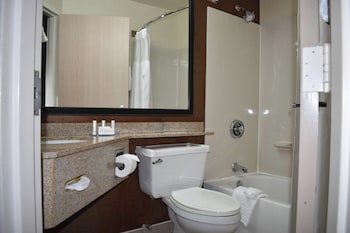 Room, 1 King Bed