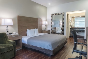 Non-Smoking 1 King Bed
