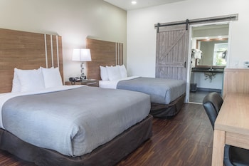 Handicap Non-Smoking 2 Queen Bed