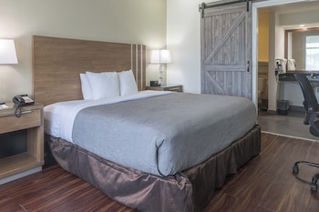 Handicap Non-Smoking 1 King Bed