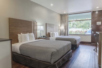 Non-Smoking 2 Queen Bed