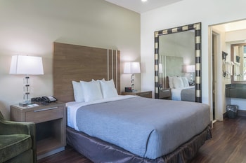 Non-Smoking 1 Queen Bed