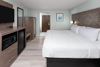 Room, 1 King Bed, Non Smoking