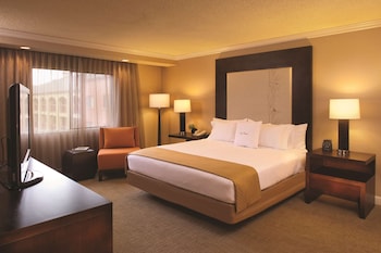 Suite, 1 King Bed, Accessible