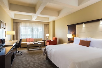 Room, 1 King Bed with Sofa bed (View)