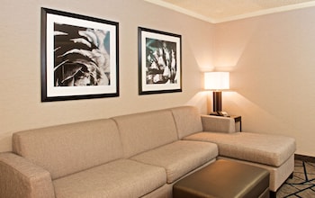 Suite, 1 King Bed, Accessible