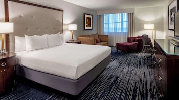 Deluxe Room, 1 King Bed with Sofa bed, Non Smoking