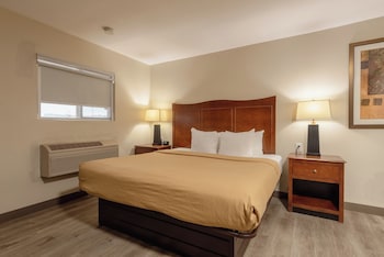 Standard Room, 1 King Bed, Non Smoking