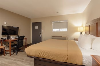 Standard Room, 1 King Bed, Non Smoking