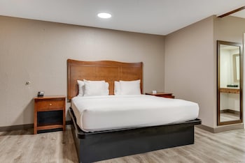 Standard Room, 1 King Bed, Non Smoking