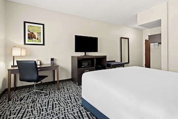Standard Room, 1 King Bed, Accessible, Refrigerator & Microwave
