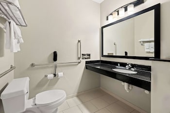 Suite, 1 King Bed, Accessible, Refrigerator & Microwave (with Sofabed)