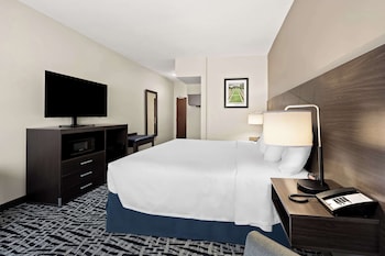 Standard Room, 1 King Bed, Accessible, Refrigerator & Microwave