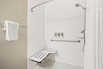 Suite, 1 King Bed, Accessible, Refrigerator & Microwave (with Sofabed)