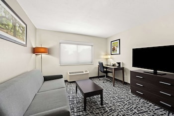 Suite, 1 King Bed, Accessible, Refrigerator & Microwave (with Sofabed)