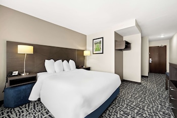 Standard Room, 1 Queen Bed, Non Smoking, Refrigerator & Microwave