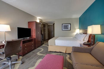 Standard Room, 1 King Bed with Sofa bed