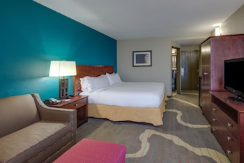 Standard Room, 1 King Bed with Sofa bed