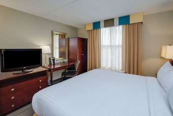 Standard Room, 1 King Bed, Accessible (Comm, Mobil, Accessible Tub)