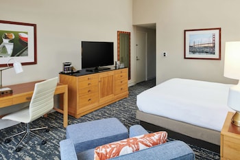 Room, 1 King Bed, Accessible