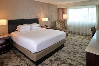 Room, 1 King Bed, Accessible