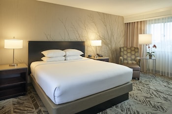 Room, 1 King Bed, Accessible