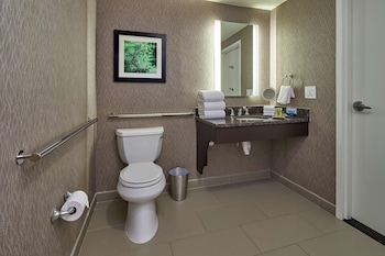 Room, 1 King Bed, Accessible
