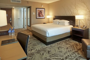 Room, 1 King Bed, Accessible