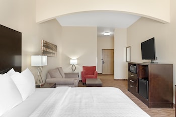 Standard Room, 1 King Bed, Accessible, Refrigerator & Microwave