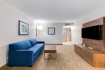 Suite, 1 King Bed with Sofa bed