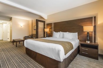 Suite, 1 King Bed with Sofa bed