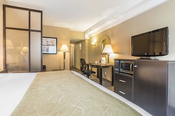Suite, 1 King Bed with Sofa bed