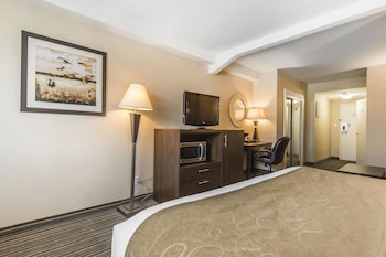 Suite, 1 King Bed with Sofa bed