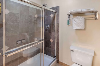 Standard Room, 1 King Bed, Non Smoking, Jetted Tub (with Sofabed)