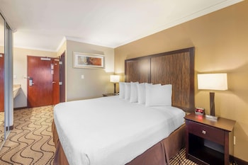Executive Room, 1 King Bed, Non Smoking, Refrigerator & Microwave (with Sofabed)