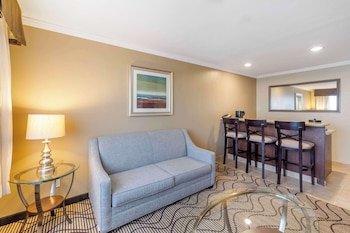 Suite, 1 King Bed, Non Smoking, Jetted Tub