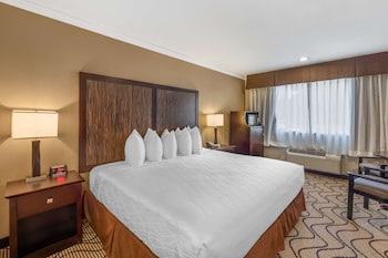 Standard Room, 1 King Bed, Accessible, Refrigerator & Microwave