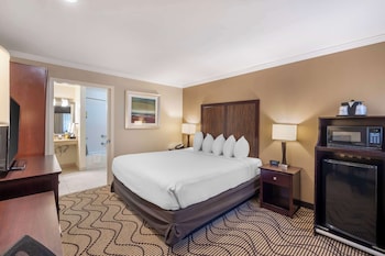 Standard Room, 1 Queen Bed, Accessible, Refrigerator & Microwave
