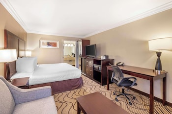 Standard Room, 1 King Bed, Non Smoking, Refrigerator & Microwave (with Sofabed)
