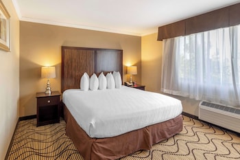 Suite, 1 King Bed, Non Smoking, Jetted Tub
