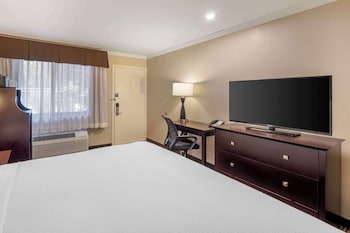 Standard Room, 1 Queen Bed, Accessible, Refrigerator & Microwave