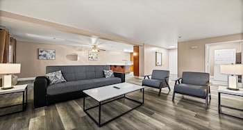 Standard Apartment, 1 King Bed, Non Smoking, Kitchen (with Sofabed, Full Kitchen)