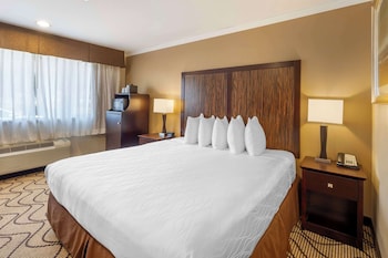 Standard Room, 1 King Bed, Accessible, Refrigerator & Microwave