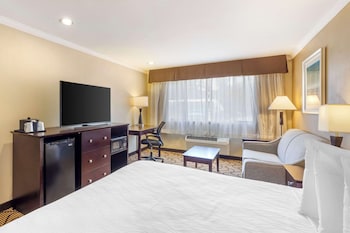 Executive Room, 1 King Bed, Non Smoking, Refrigerator & Microwave (with Sofabed)