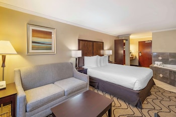 Standard Room, 1 King Bed, Non Smoking, Jetted Tub (with Sofabed)