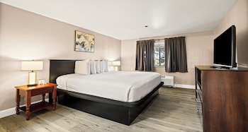 Standard Apartment, 1 King Bed, Non Smoking, Kitchen (with Sofabed, Full Kitchen)