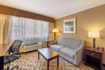 Suite, 1 King Bed, Non Smoking