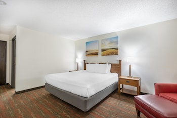 Standard Room, 1 King Bed, Non Smoking (2nd Floor)