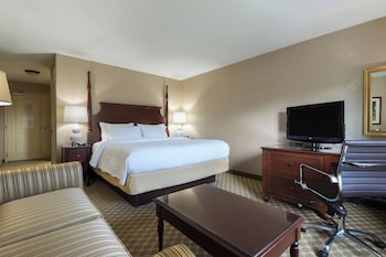 Room, 1 King Bed