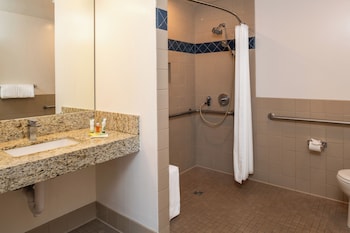 Room, 1 Queen Bed, Roll-in Shower